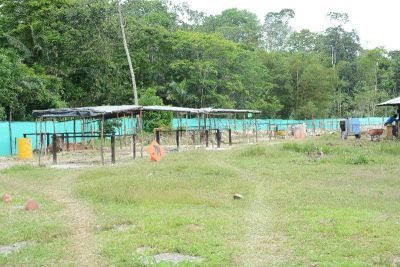 SecretarÃ­a de Infraestructura Vial iniciÃ³ trabajos de adecuaciÃ³n de terreno en la instituciÃ³n educativa Atanasio Girardot