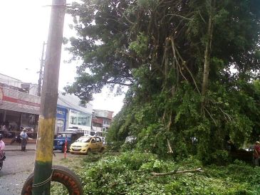 Establecimiento PÃºblico Ambiental establecerÃ¡ grupos ambientales para el manejo de residuos sÃ³lidos
