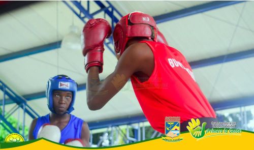 Exitoso lanzamiento de la primera versiÃ³n del Torneo Distrital de Boxeo 