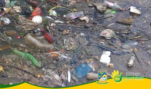 Establecimiento PÃºblico Ambiental apoya jornada de limpieza en los cuerpos de agua del Distrito