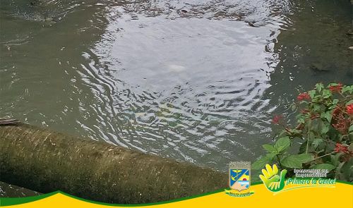 Establecimiento PÃºblico Ambiental apoya jornada de limpieza en los cuerpos de agua del Distrito