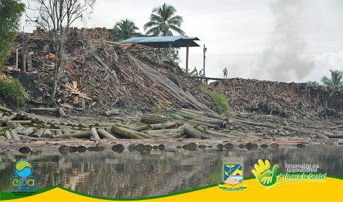 Establecimiento PÃºblico Ambiental inicia desde hoy censo para conocer el estado actual de la industria maderera en Buenaventura