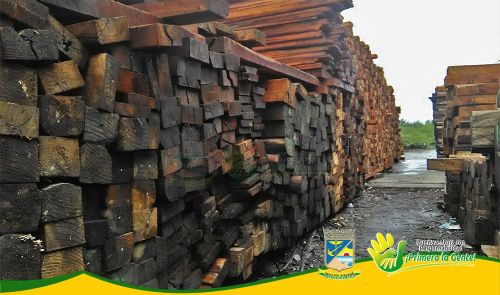 Vigilancia y control en zonas de comercializaciÃ³n de madera
