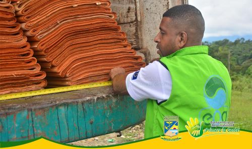 Establecimiento PÃºblico Ambiental de Buenaventura participÃ³ en el operativo nacional de control y vigilancia forestal