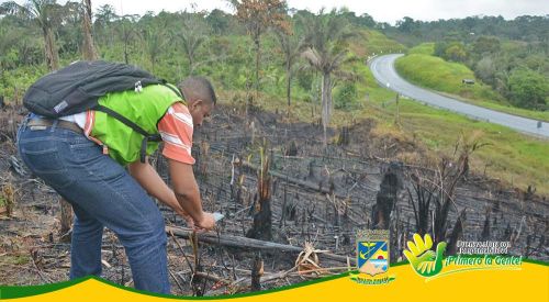 Incendio Forestal fue provocado: director EPA