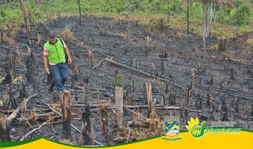 Incendio Forestal fue provocado: director EPA