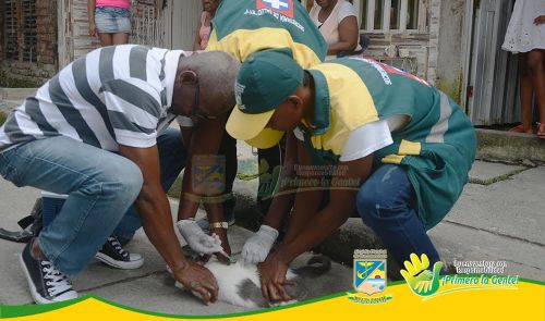 Sin contratiempos se realizÃ³ jornada integral de salud en la comuna dos de Buenaventura