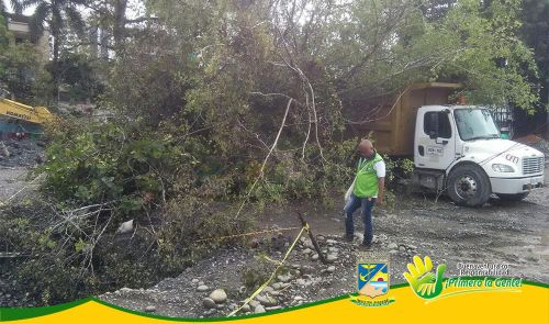 SubdirecciÃ³n de Control y Vigilancia del Epa Buenaventura inspeccionÃ³ Ã¡rbol colapsado en obra del malecÃ³n BahÃ­a de la Cruz
