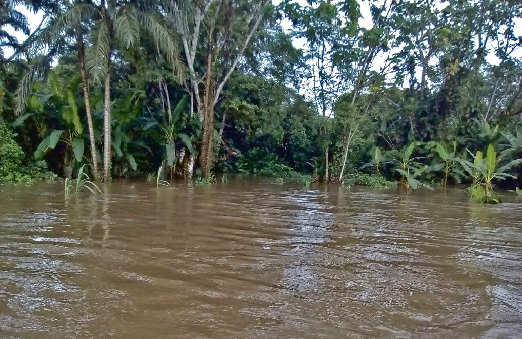 Tras fuertes lluvias y deslizamientos en el corregimiento #08, la Oficina de Gestión del Riesgo ya se trasladó a la zona para activar un Plan de Contingencia