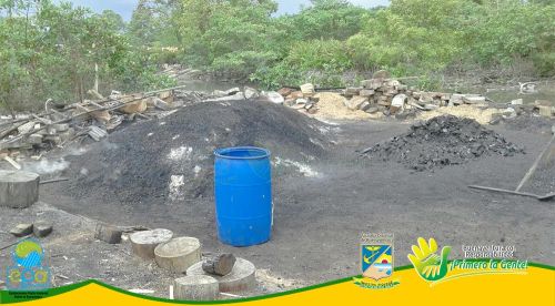 Epa realiza operativos de vigilancia y control a emisiones de gases en aserrÃ­os y carboneras