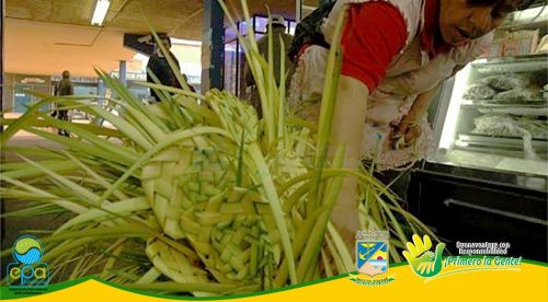 EstÃ¡ prohibido el uso y comercializaciÃ³n de la palma de cera: JosÃ© Humberto AnizÃ¡res Mosquera
