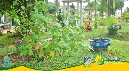 Con una exitosa jornada de siembra el Establecimiento PÃºblico Ambiental de Buenaventura conmemorÃ³ el DÃ­a del Ãrbol