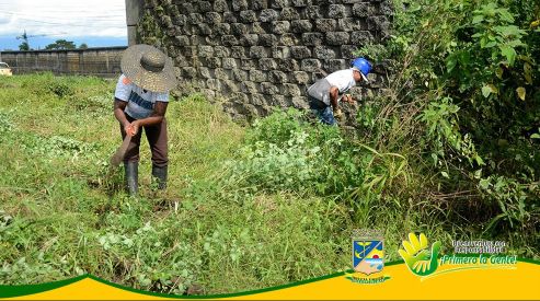 AlcaldÃ­a Distrital adelanta jornada de limpieza entre el sector del Sena al puente elevado 