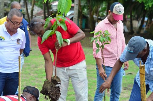 Gestor Social se vinculÃ³ con la recuperaciÃ³n del manglar en el corregimiento de BazÃ¡n Bocana