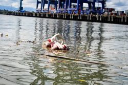 La CampaÃ±a Buenaventura Limpia y Bonita recorrerÃ¡ la bahÃ­a y playas del Distrito