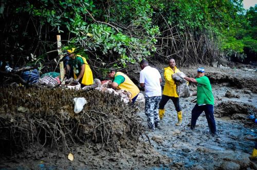 Buenaventura Limpia y Bonita recolectÃ³ 600 kilos aproximados de residuos sÃ³lidos en la jornada de intervenciÃ³n al estero El Aguacate