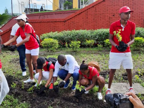 Excelente acogida de la comunidad en reactivaciÃ³n de la campaÃ±a Buenaventura Siembra Esperanza Limpia y Bonita
