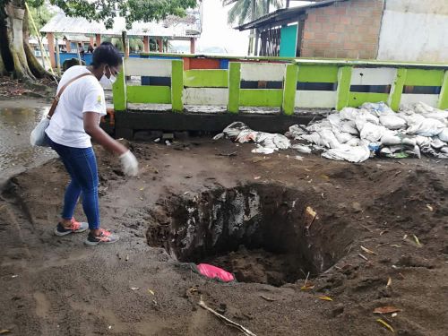 Se realizaron las jornadas programadas de limpieza de playas ante la llegada de peces muertos