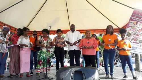 La AlcaldÃ­a Distrital a travÃ©s de la SecretarÃ­a de Mujer Equidad y GÃ©nero conmemorÃ³ el DÃ­a Internacional de la No Violencia contra La Mujer