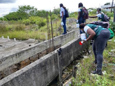 Alcaldía refuerza control a criaderos de zancudos en la Comuna 11