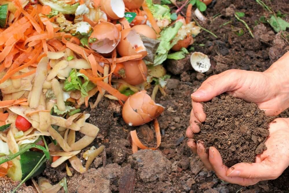 Dirección Técnica Ambiental continúa con actividades de hábitat saludable