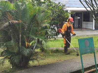 La Dirección Técnica Ambiental realiza jornada de poda en diferentes sectores de la ciudad 