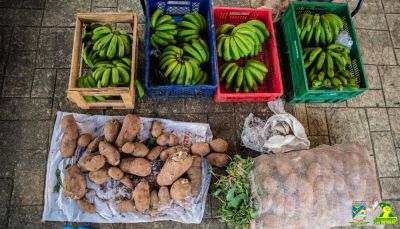 Con éxito se desarrolló en Buenaventura el 2do Mercado Popular "Del Campo a tu Hogar"