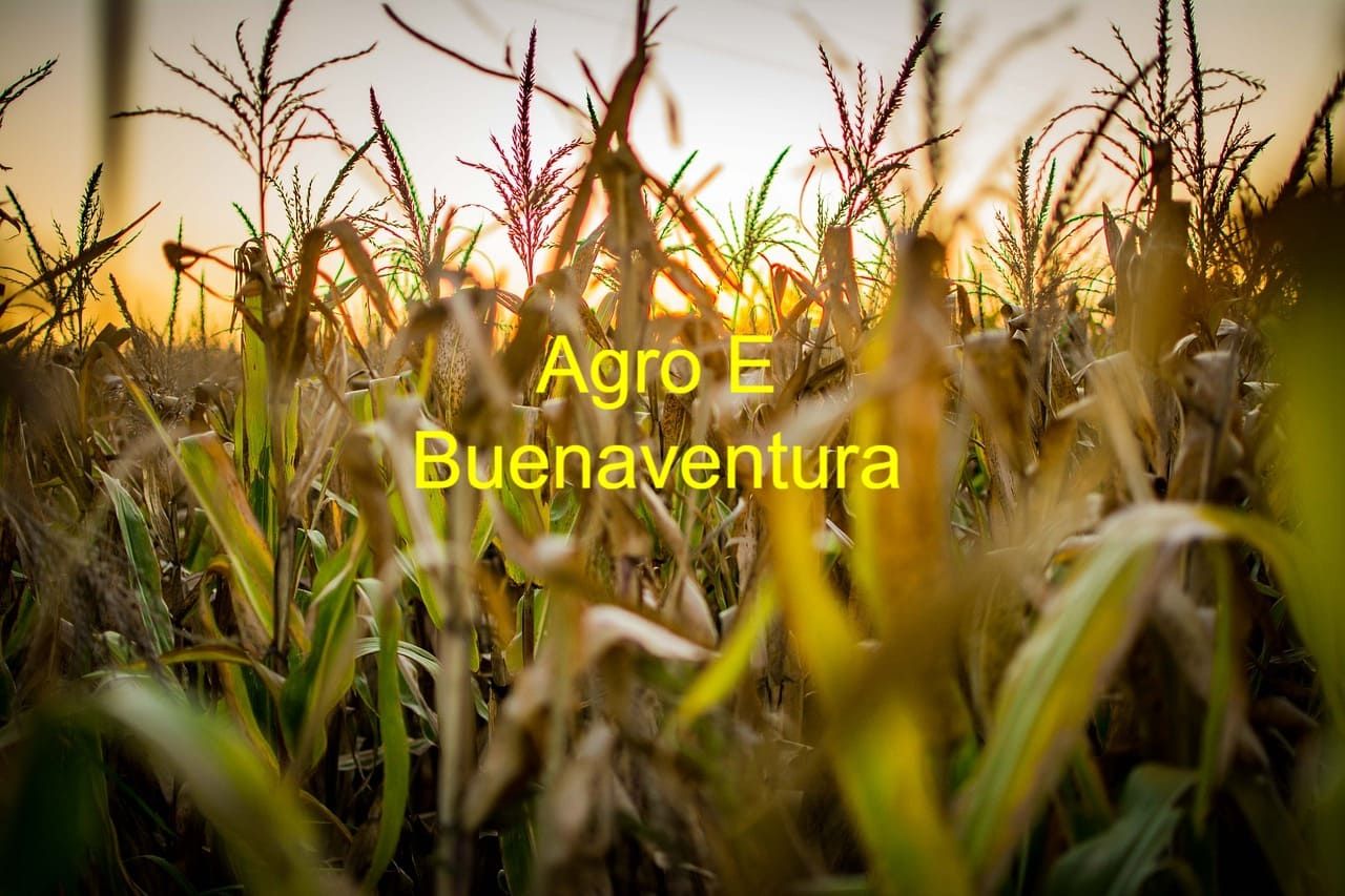 Convocatoria Agro E llega a Buenaventura para fortalecer a emprendedores del Distrito