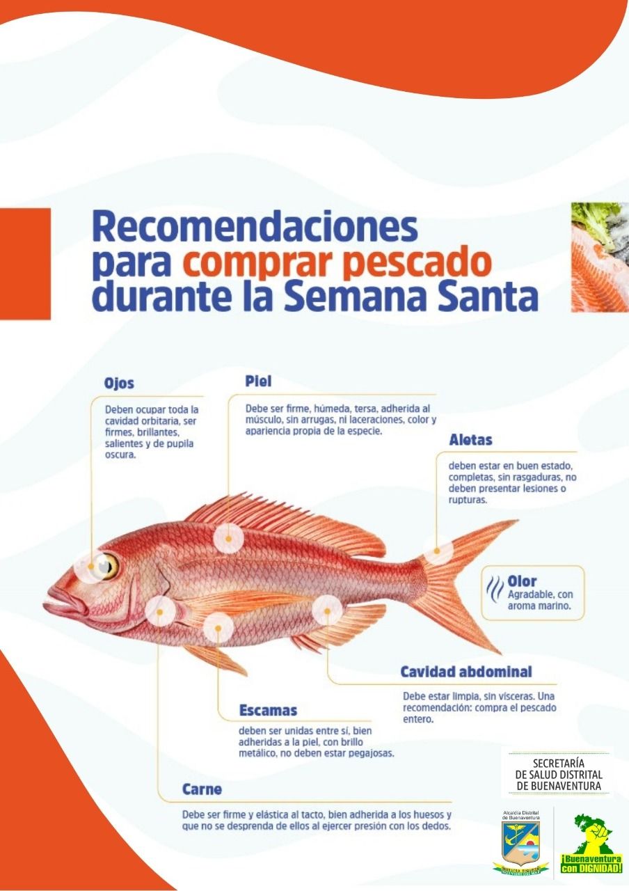 La Secretaría de Salud distrital fortalece inspección y vigilancia a la comercialización de pescado en temporada de Semana Santa