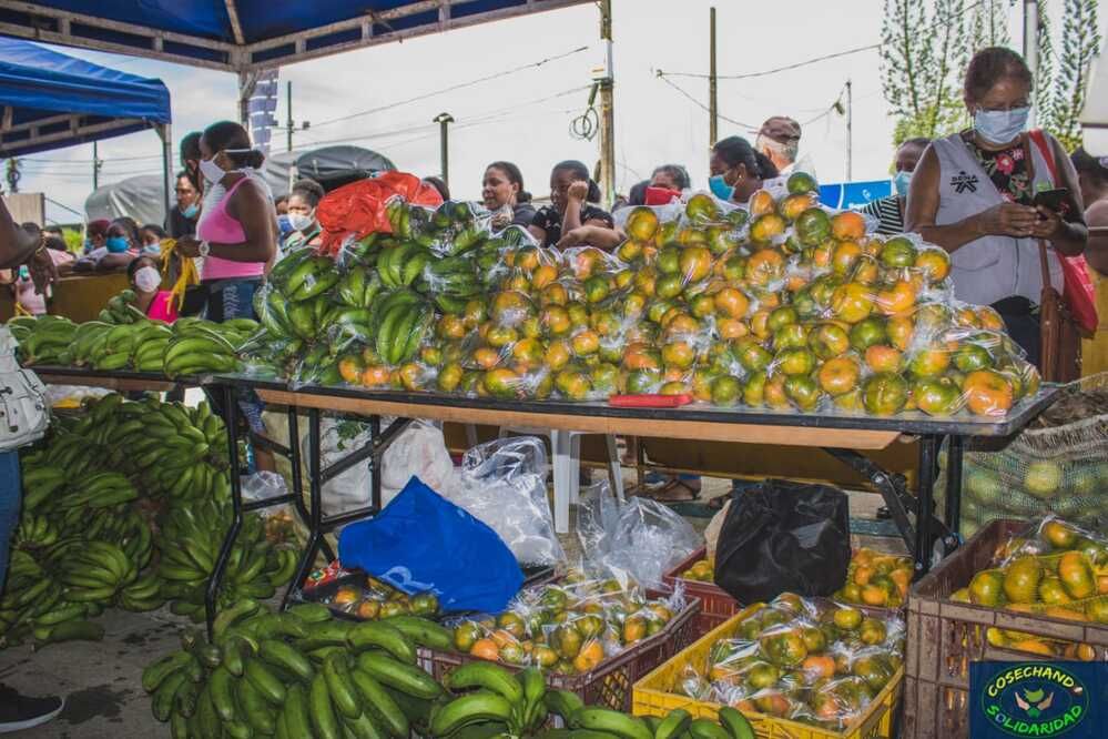 Alcaldía Distrital apoyó Expoagro Campesino para impulsar los productos de la región