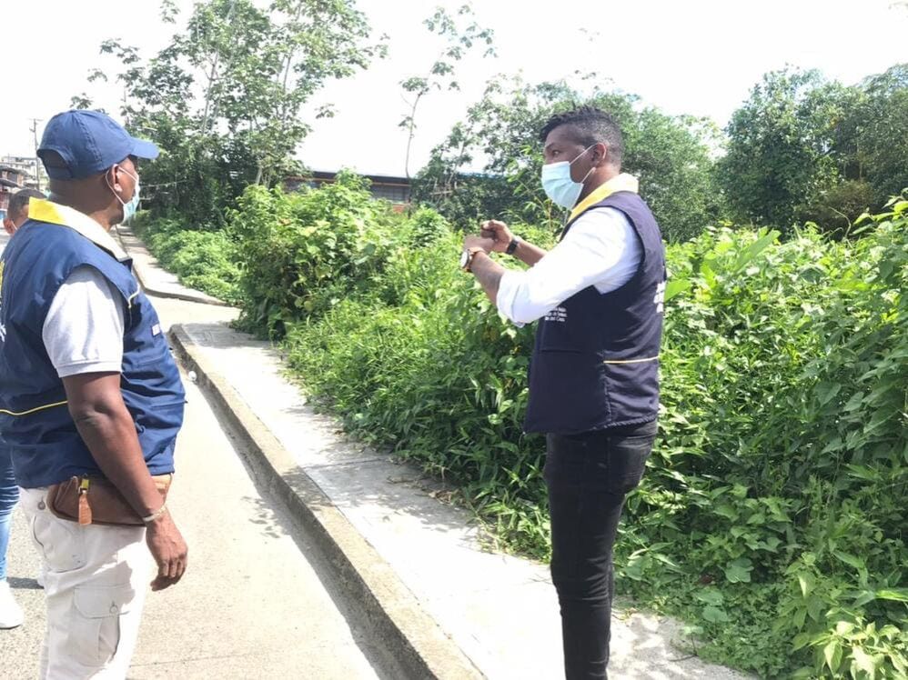 23 &aacute;rboles de diferentes especies y en condici&oacute;n de riesgo fueron talados en Buenaventura