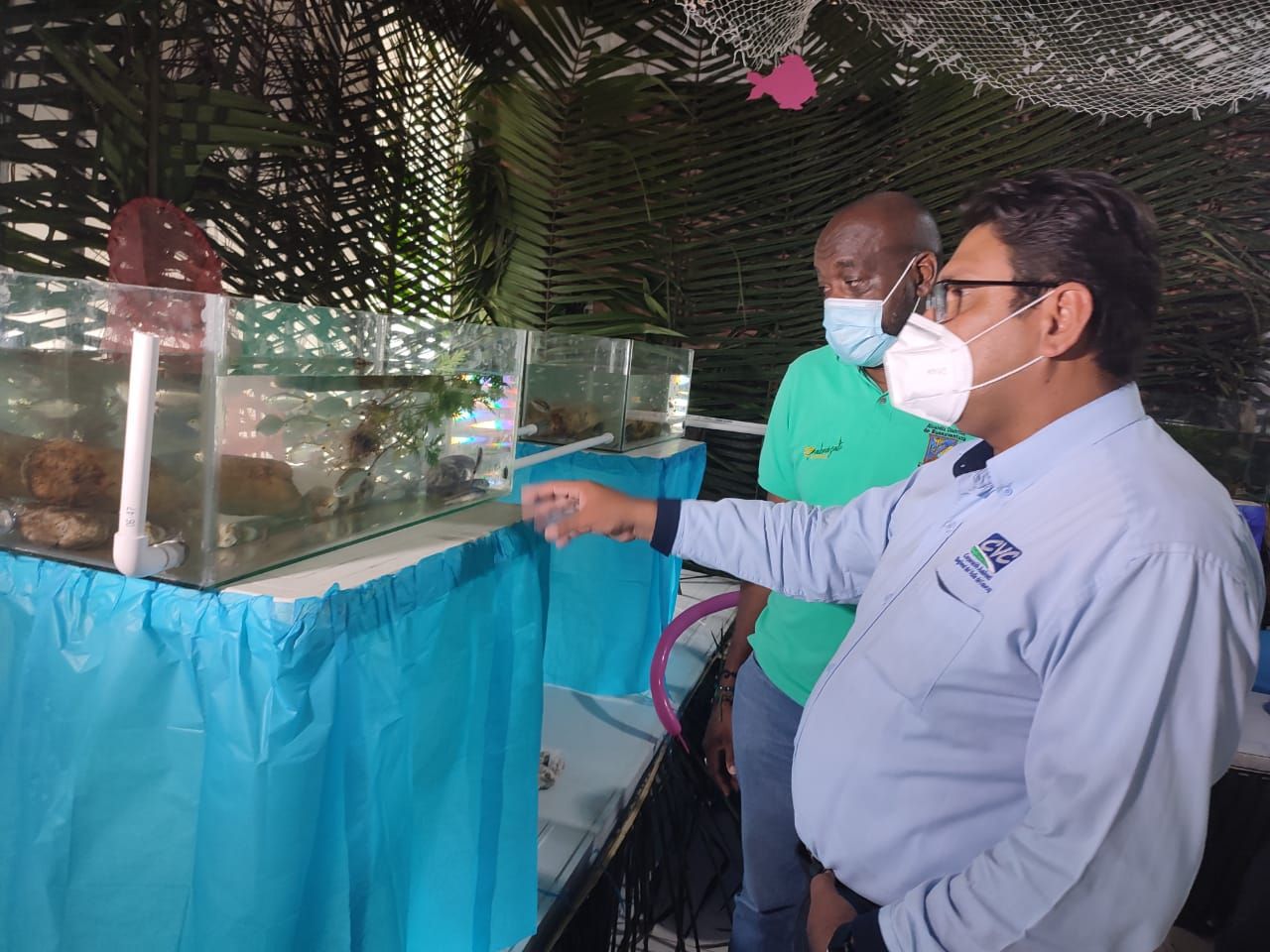 Toda una fiesta ambiental se vivió en el corregimiento de Triana con exhibición de peces exóticos y el acompañamiento de la Alcaldía Distrital