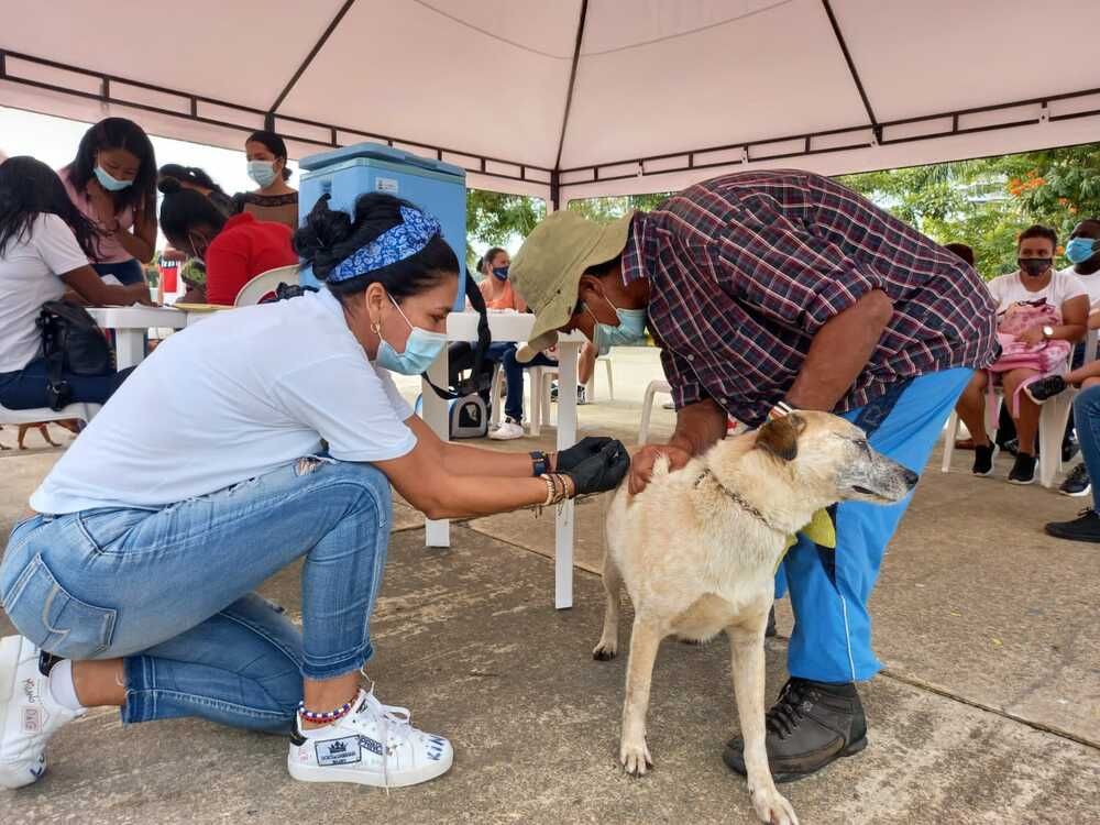En la lucha contra la rabia, perros y gatos fueron vacunados en Buenaventura