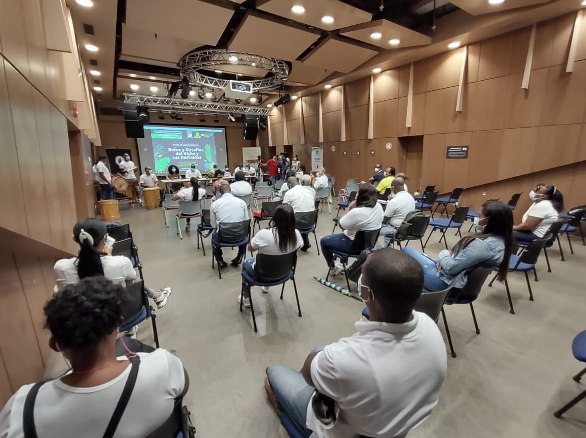 Se trabajará en el encadenamiento del viche para posicionarlo en el mercado nacional e internacional
