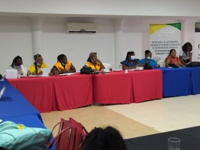 La Consultiva de Mujeres del distrito inician Plan de Acción para el 2022 con el apoyo de la Secretaría de las Mujeres