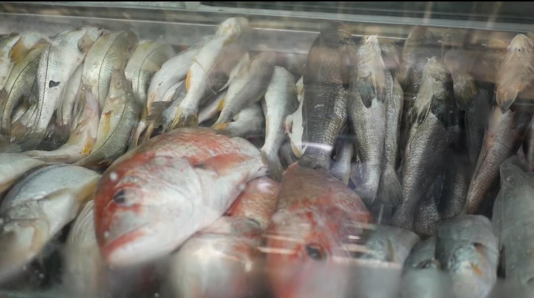 Fortalecen inspección a pescados y alimentos de consumo en Semana Santa