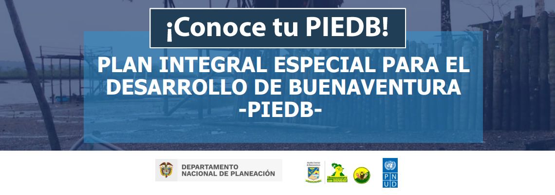 Conoce tu PIEDB!