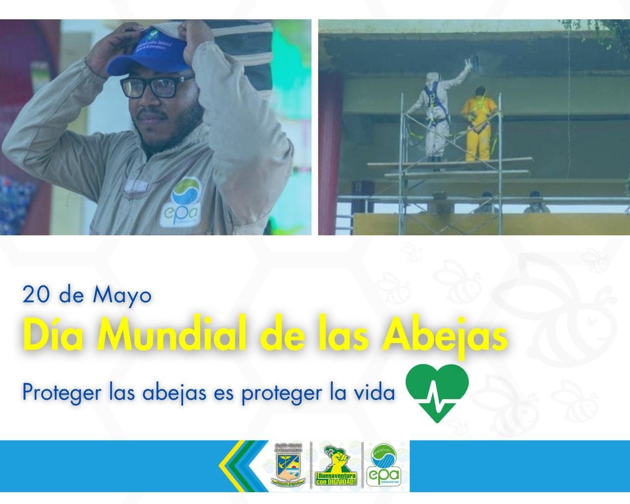 #Dia Mundial De Las Abejas