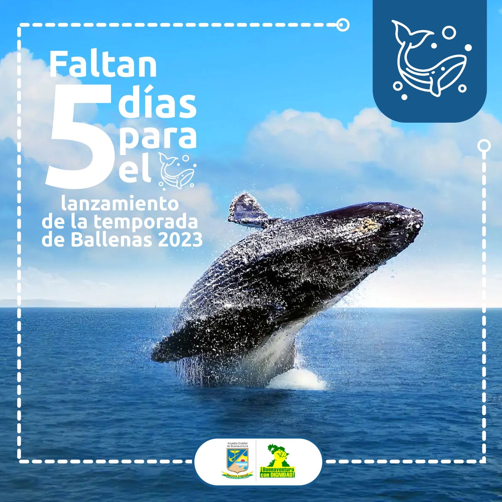 Gran lanzamiento de la Temporada de Ballenas 2023 en Buenaventura 