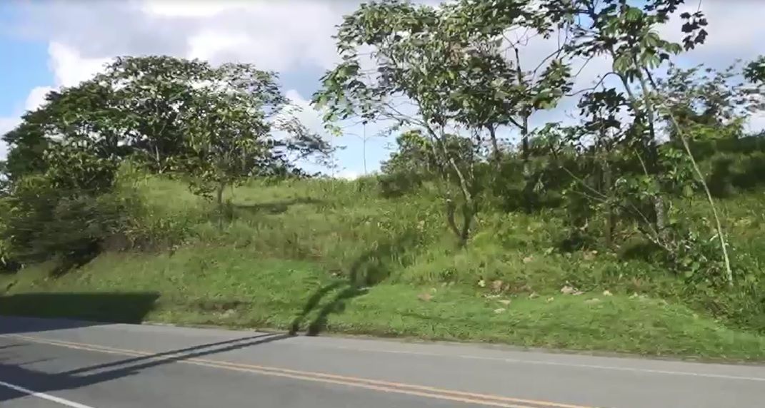  La AlcaldÃ­a de Buenaventura recupera 18.5 hectÃ¡reas de terrenos para el Distrito.