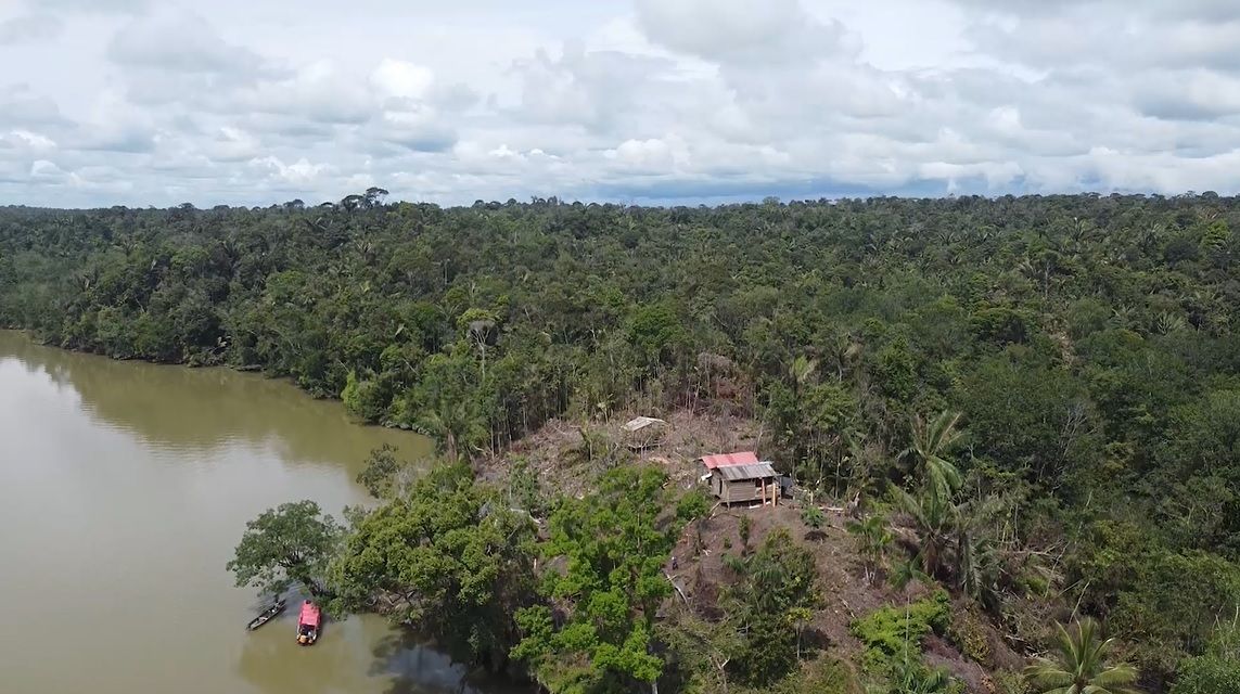  Inicia programa de restauración del ecosistema manglar en Papagayo