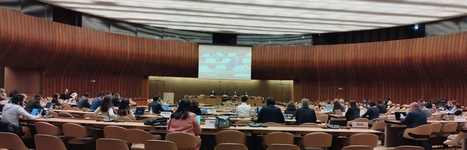 Alcaldesa de Buenaventura, Ligia del Carmen Córdoba Martínez, intervino en la III sesión del Foro Permanente de Afrodescendientes, en Ginebra, Suiza