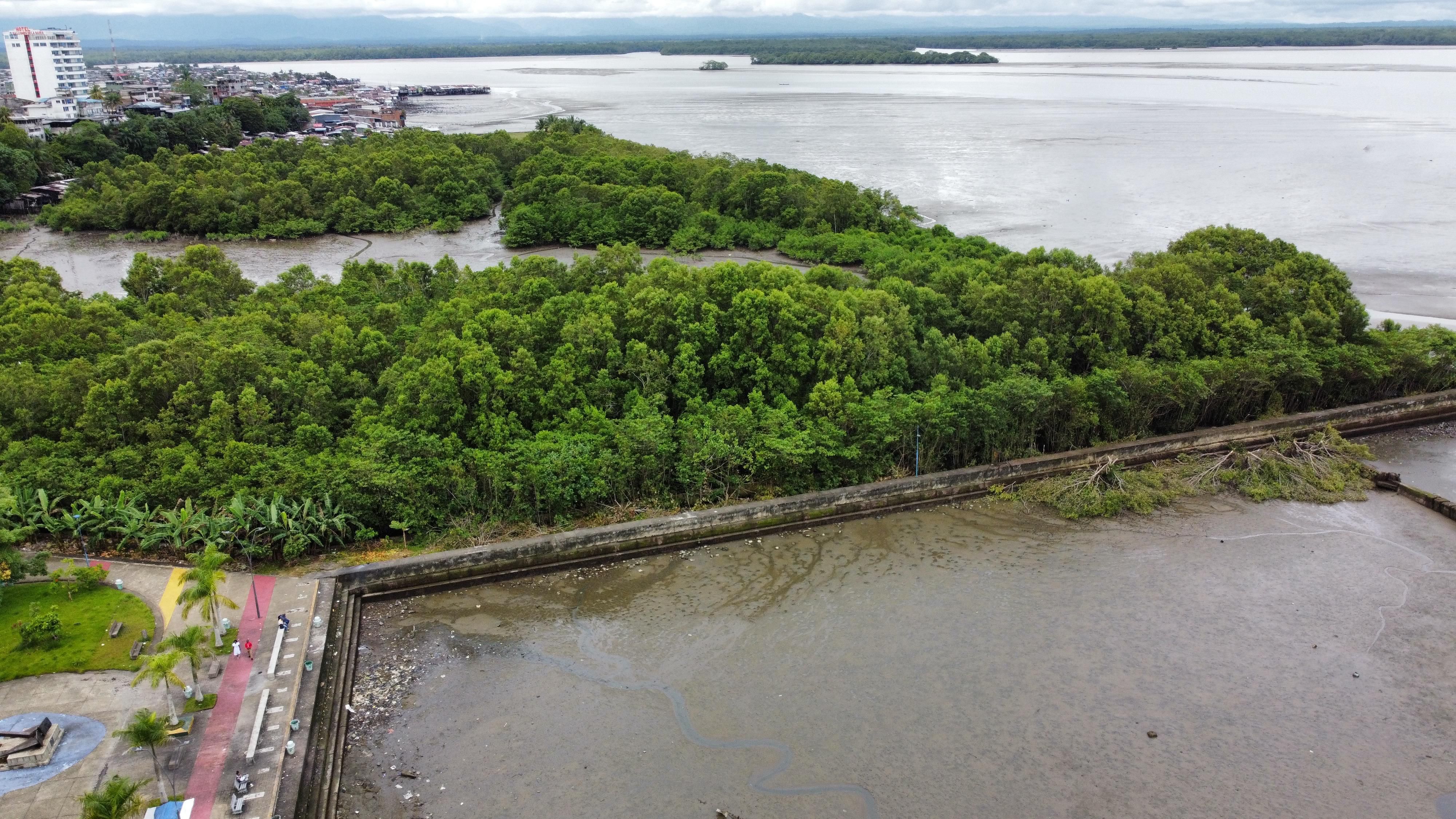 Establecimiento Público Ambiental verifica aprovechamiento ilegal de mangle en el malecón Bahía de la Cruz