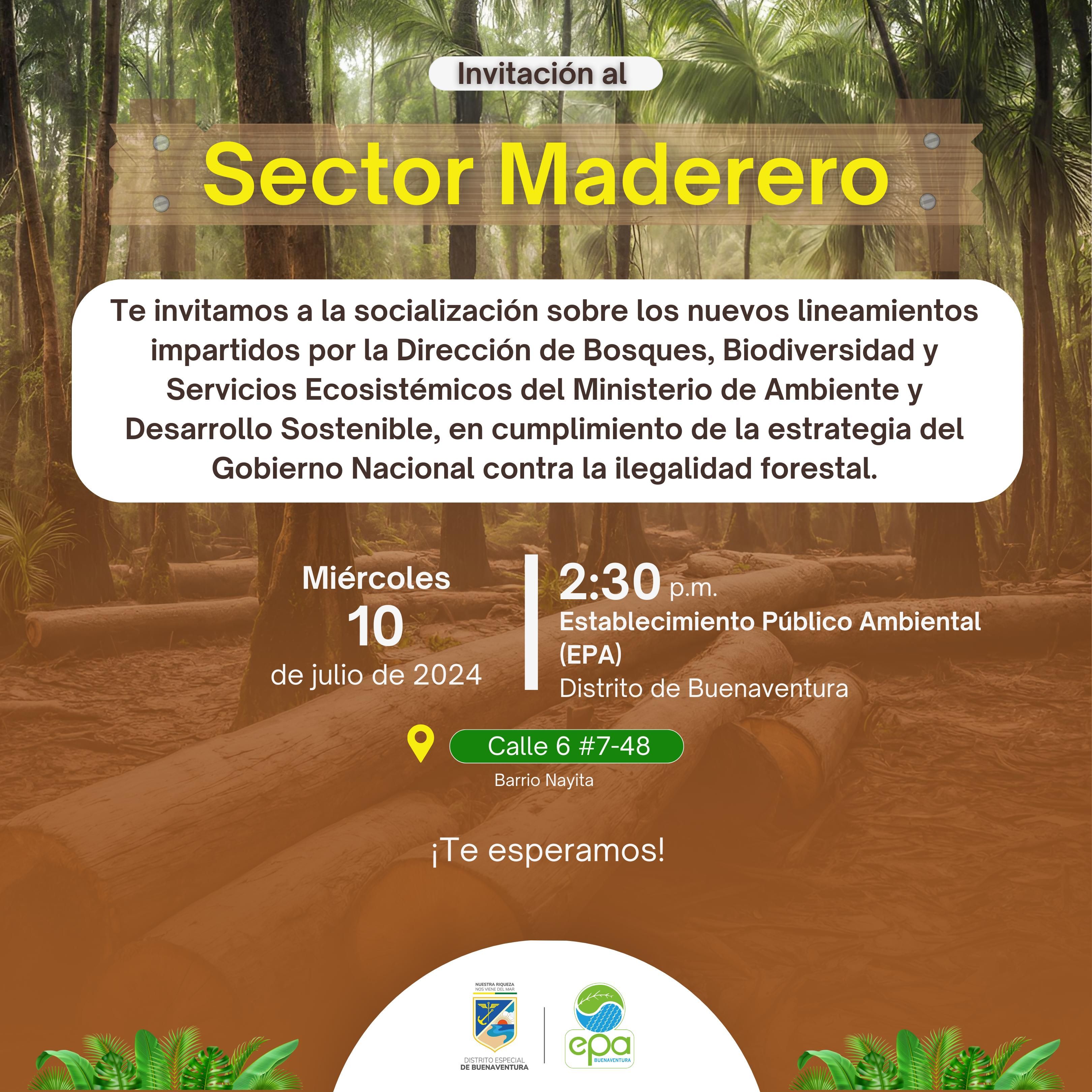 EPA Buenaventura socializará al sector maderero nuevos lineamientos