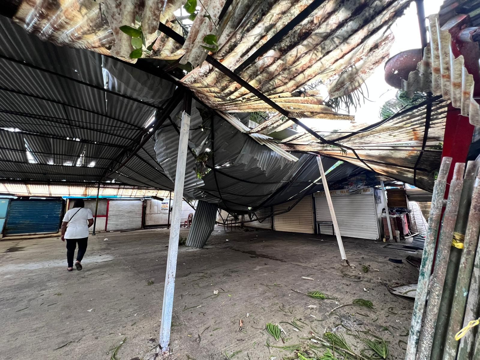 Gobierno Local realiza intervención de árboles para mitigar riesgos por caída en dos establecimientos comerciales