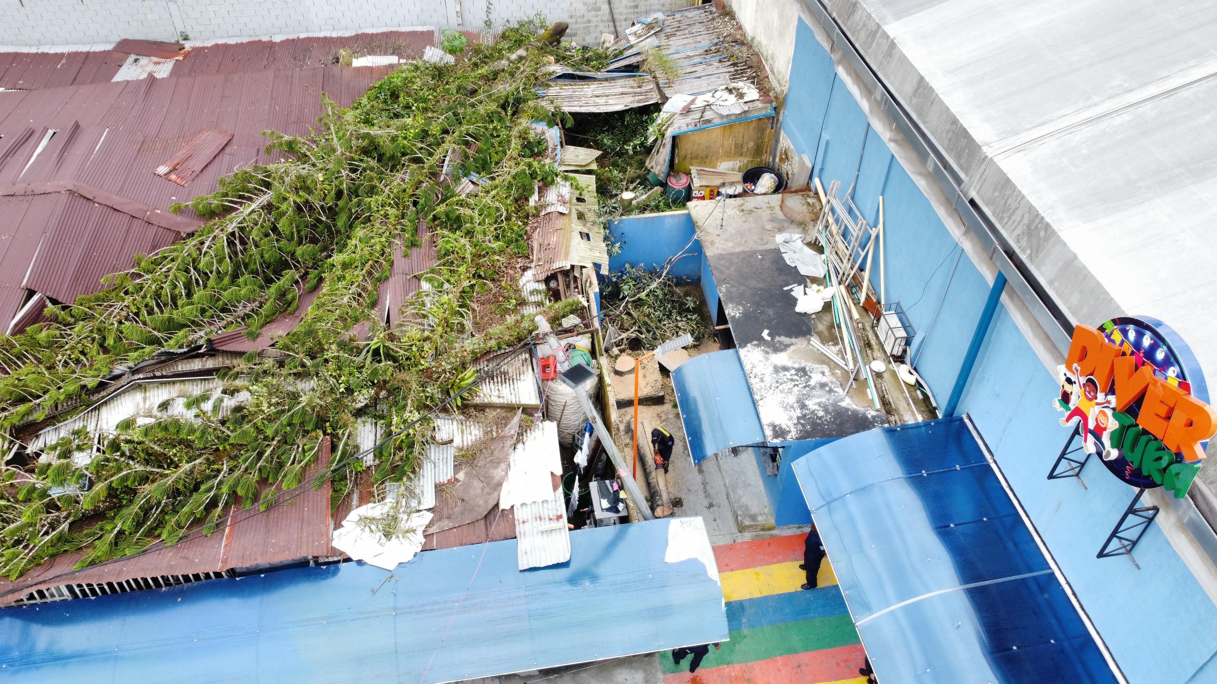 Gobierno Local realiza intervención de árboles para mitigar riesgos por caída en dos establecimientos comerciales