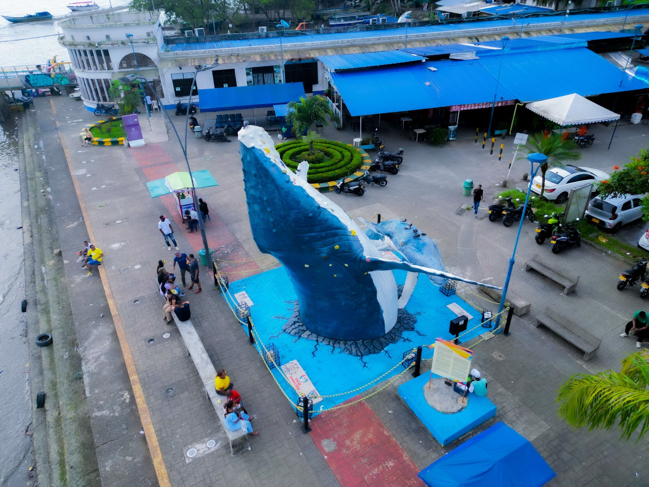 La temporada de avistamiento de ballenas en Buenaventura va hasta el 21 de octubre de 2024