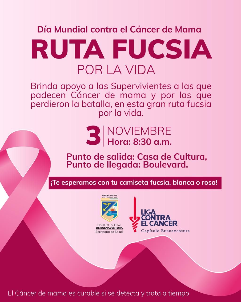 Secretaría de Salud conmemora el Día Internacional de la Lucha contra el Cáncer de Mama con la Caminata Ruta Fucsia por la Vida