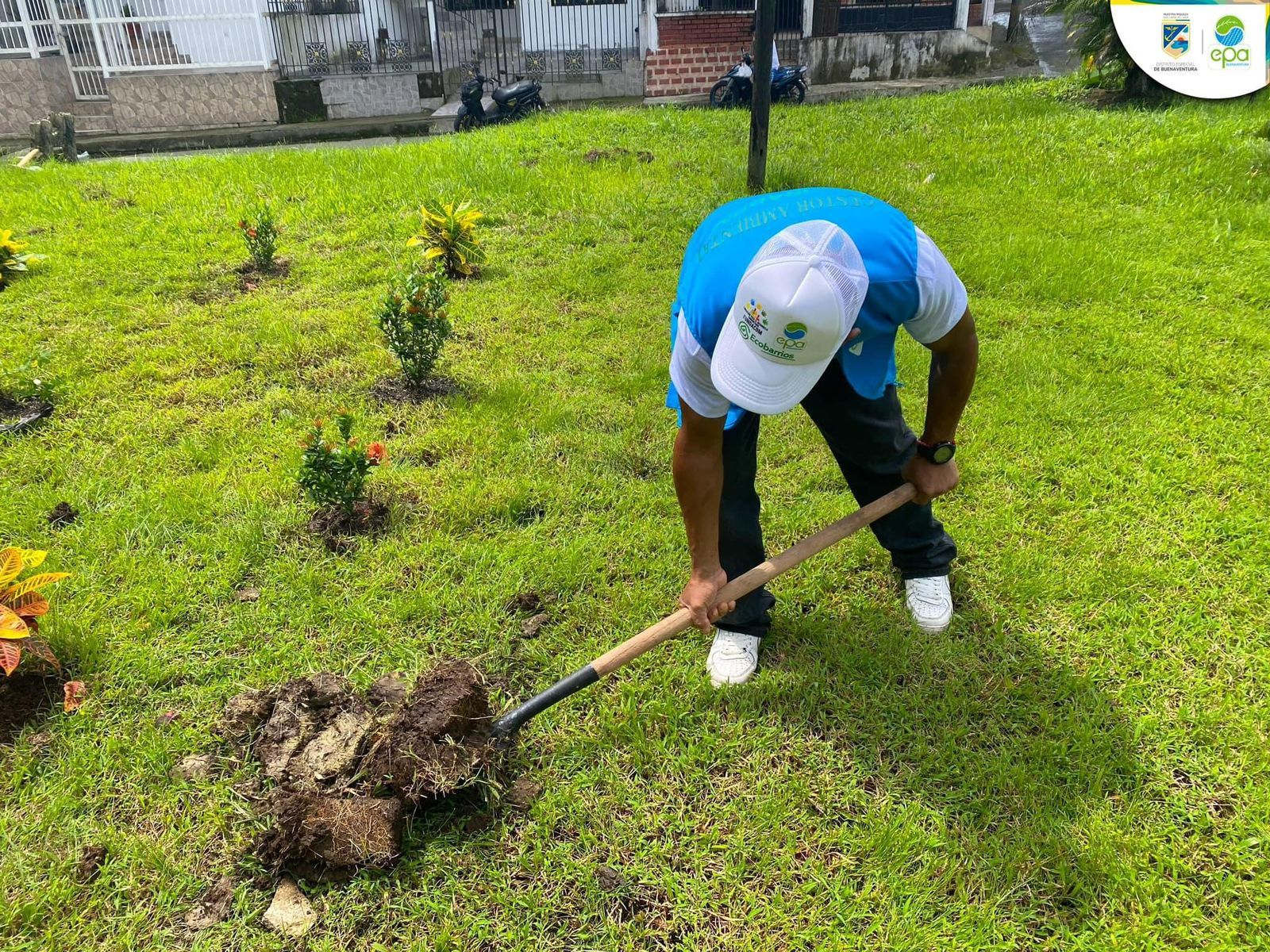 Eco Barrios, una estrategia ambiental para el desarrollo sostenible de Buenaventura