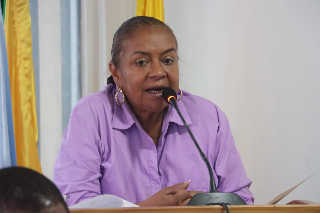 Consejo de Seguridad establece mesa migratoria y unidad contra minería ilegal en Buenaventura